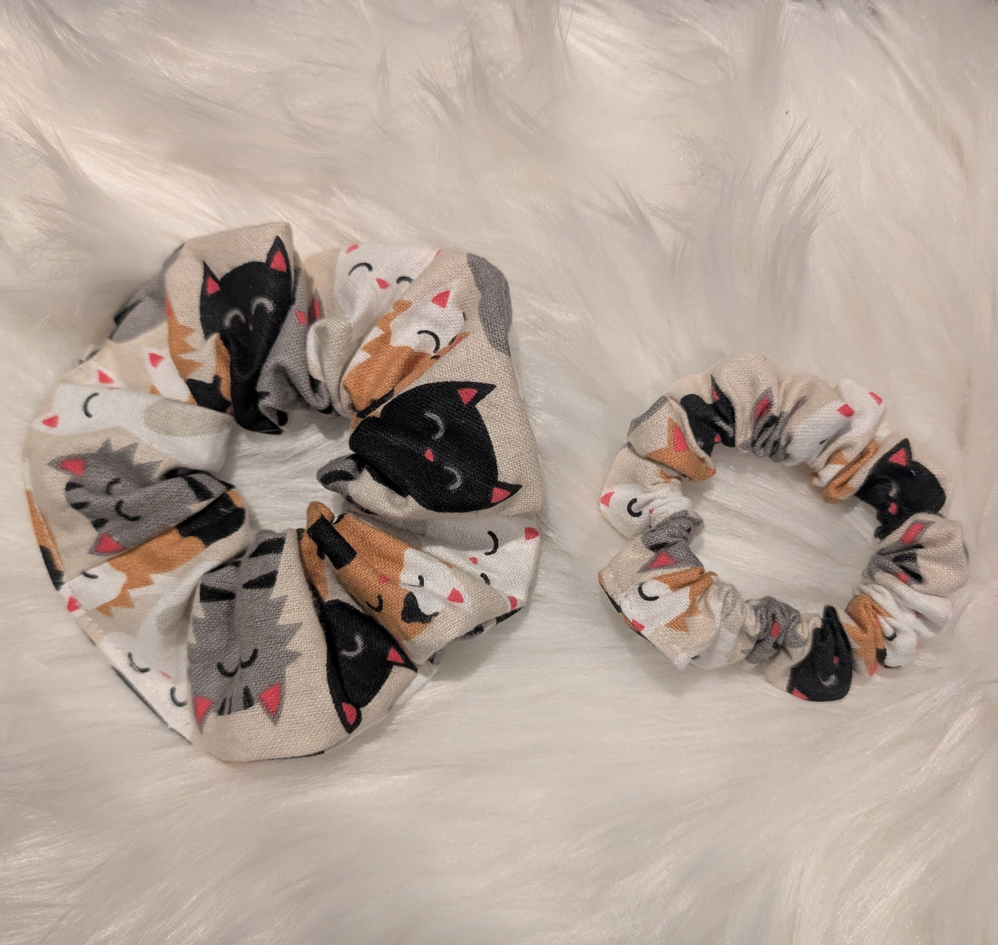 Chouchou - MIAOU