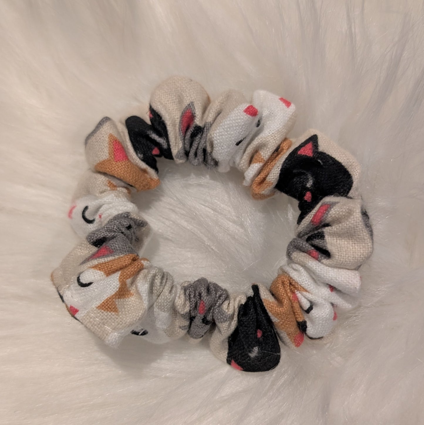 Chouchou - MIAOU