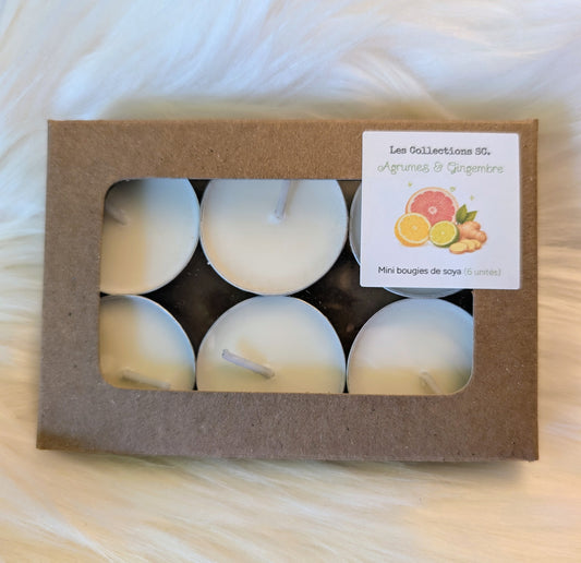 Mini bougies - AGRUMES & GINGEMBRE