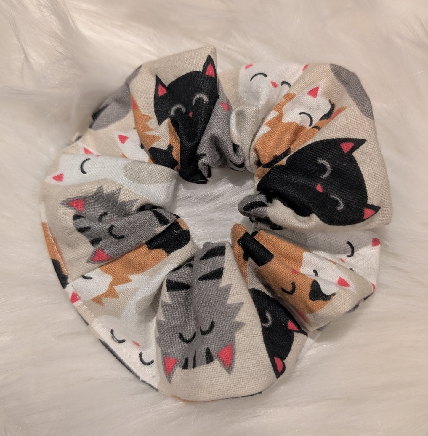 Chouchou - MIAOU