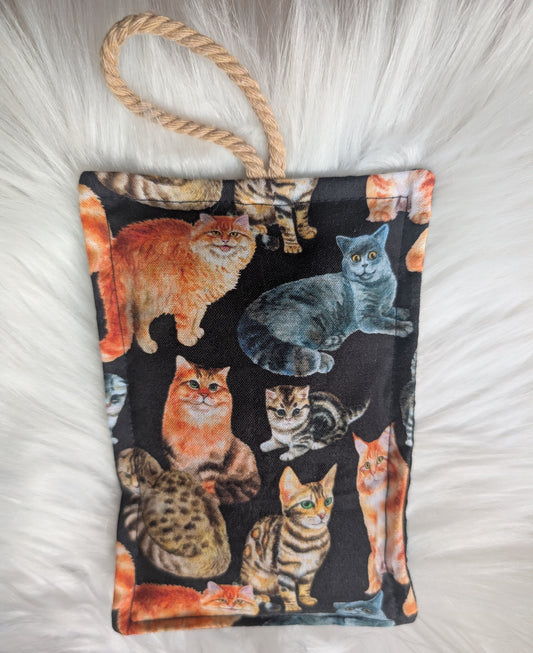 Éponge à vaisselle - CHAT RÉALISTE